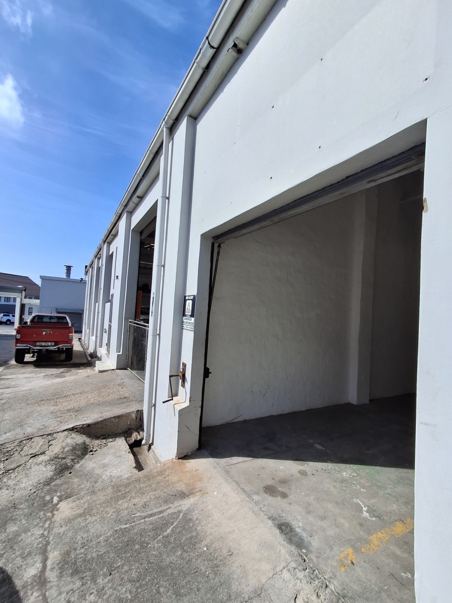 To Let Commercial Property for Rent in Arcadia Eastern Cape